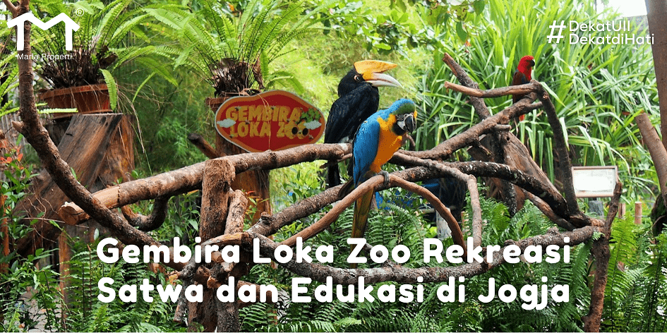 Gembira Loka Zoo Jogja