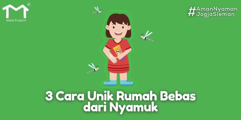 3 Cara Unik Rumah Bebas Dari Nyamuk