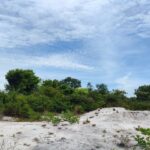 Tanah di Labangka, penajam dekat IKN