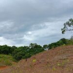 Lahan Tanah di Sotek, Penajam Dekat IKN