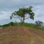 Lahan Tanah di Sotek, Penajam Dekat IKN