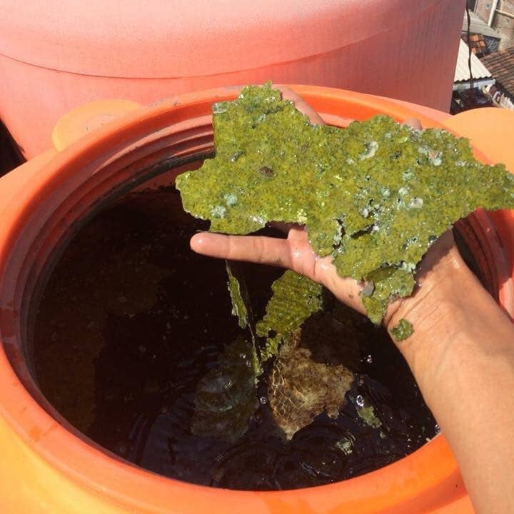 Ilustrasi Toren Air Berlumut