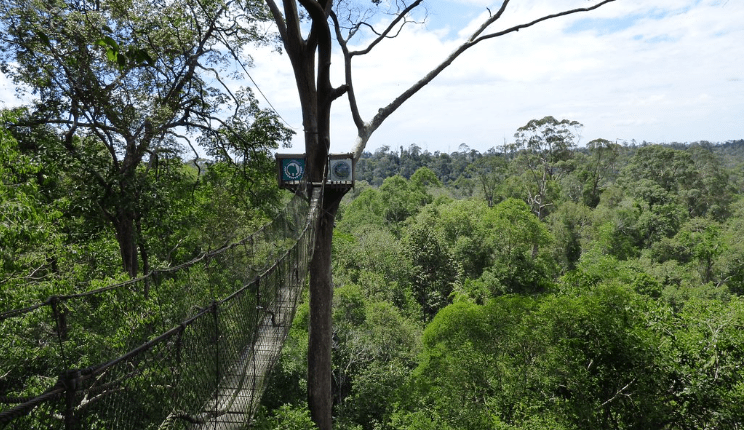 Jembatan Gantung Bukit Bangkirai